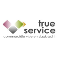 True Service logo - Similar company to Boostin