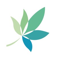 Binnol logo - Similar company to Geoestudios Ingeniería Se Transforma En Gei Consulting