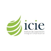 ICIE logo - Similar company to Progeas
