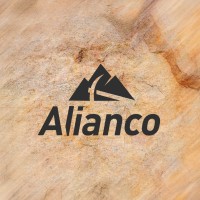 Alianco logo - Similar company to Alianco