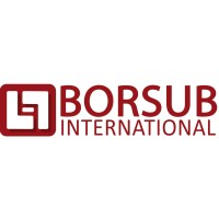 BORSUB INTERNATIONAL SL logo - Similar company to Grup Puigfel
