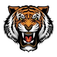 Ranthambhore Wildlife Safari logo - Similar company to Ravi Surya Group