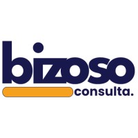 Bizoso Consulta logo - Similar company to Data Fortress It