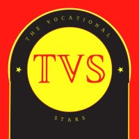 The Vocational Stars logo - Similar company to Solardero Foundation