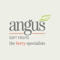 Angus Soft Fruits logo - Similar company to Groupe Conseil Agricole De L'Estrie