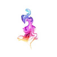 Spice 'n' Nice logo - Similar company to Spice Island