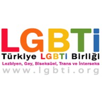 LGBTI Solidarity in Turkey logo - Similar company to Pembe Hayat Lgbti̇+ Dayanışma Derneği