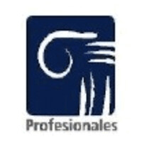 Proteso Capital logo - Similar company to Bebitos.Mx
