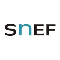 Snef Brasil logo - Similar company to Xtron