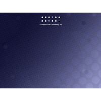 Lundgren Trial Consulting logo - Similar company to Extant Trial Consulting Inc.