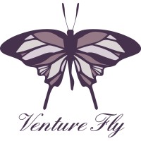 Venture fly logo - Similar company to Eurl Hci