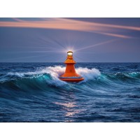 Nemo Labs AI logo - Similar company to Nemoai