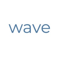 wave logo - Similar company to Gaptech