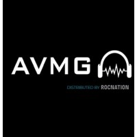 AVMG logo - Similar company to Network Society Lab