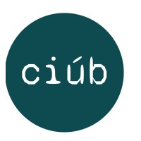 ciúb logo - Similar company to Run Dmg Ltd