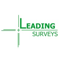 Leading Surveys logo - Similar company to The Hmz Company