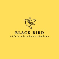 Blackbird254 logo - Similar company to Everywhere Except Inc.