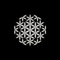 ReForest Latam logo - Similar company to Eiru.Tech