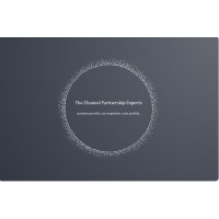 The Channel Partnership Experts logo - Similar company to Datalemon