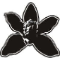 Divine Orchid Creations logo - Similar company to U Down