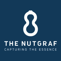 The Nutgraf logo - Similar company to Studio Giraffe