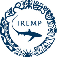 IREMP logo - Similar company to Technival