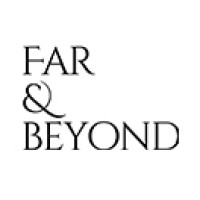 Far & Beyond logo - Similar company to Brillando En La Oscuridad  •  Shining In The Dark
