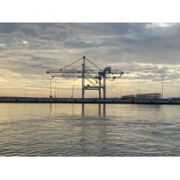 Irish Ports Association logo - Similar company to Seafield - Irish Shipbrokers & Chartering Ltd