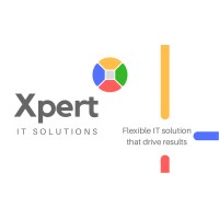 Xpert IT Solutions Inc. logo - Similar company to Xpert It