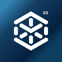 Immerise logo - Similar company to Vixturistic Studio