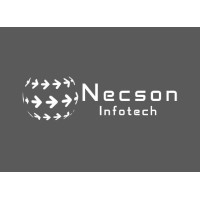 Necson Networks logo - Similar company to Slaash