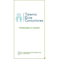 TALENTO ELITE CONSULTORES logo - Similar company to Lapassion®