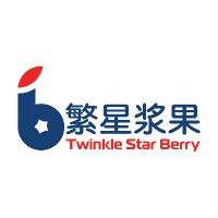 Twinkle Star Berry logo - Similar company to Btp Service