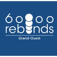 BD 60 000 Rebonds - Les Pouvoirs de l'échec logo - Similar company to Veritise