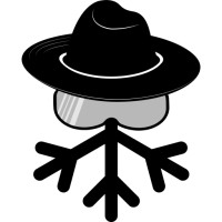 Snow Intel LLC logo - Similar company to Loose Threads Intel