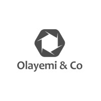 OLAYEMI & COMPANY logo - Similar company to Neurms