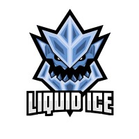 Liquid Ice Studios logo - Similar company to Broken Angle Studio