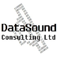 DataSound Consulting Ltd logo - Similar company to Serious International
