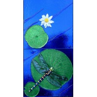 Designed Alliance Partners