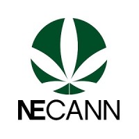 NECANN logo - Similar company to Sapphire Risk Advisory Group