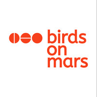 Birds on Mars logo - Similar company to Cavops