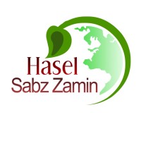 HASELSABZZAMIN COMPANY logo - Similar company to Asiainstrumentsltd