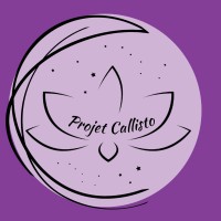 Projet Callisto logo - Similar company to Calisto Solutions