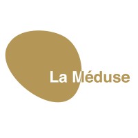 LA MEDUSE logo - Similar company to Lightemotion