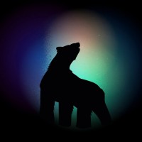 Where The Wild Love Is (WTWLI) logo - Similar company to Magnetic Core