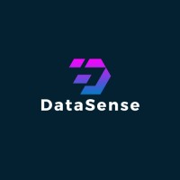 DataSense logo - Similar company to Smart Ant