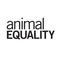 Animal Equality logo - Similar company to Veganwork.Com