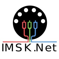 Immersive Skills Network logo - Similar company to Here And Now Ai