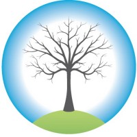 Birchills Telecom Ltd