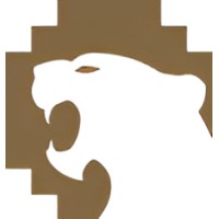 Panthera Infotech logo - Similar company to Panthera Technologies